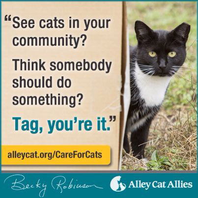 AlleyCat.org