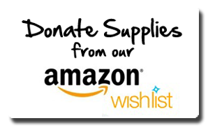 CatZipAlliance - Amazon Wishlist